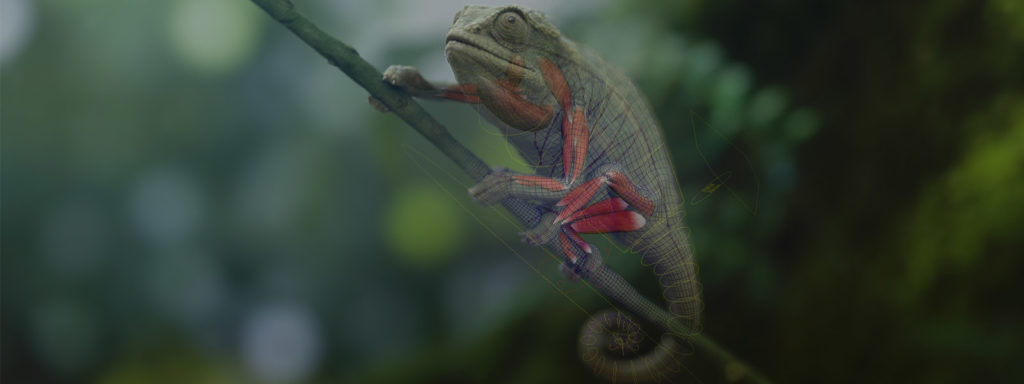 Chameleon - IXOR